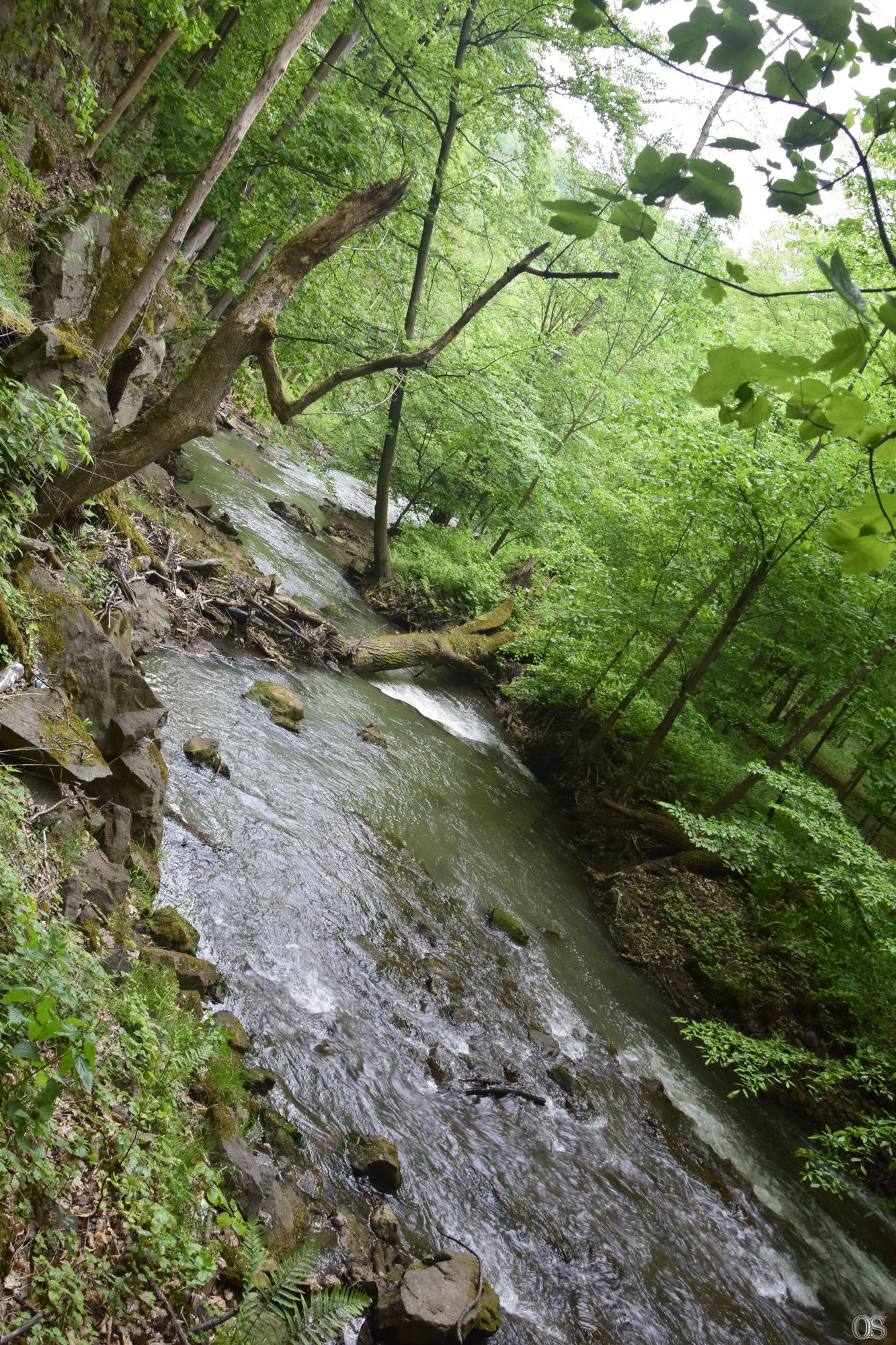 Sciezka Hochbergow 37.jpg